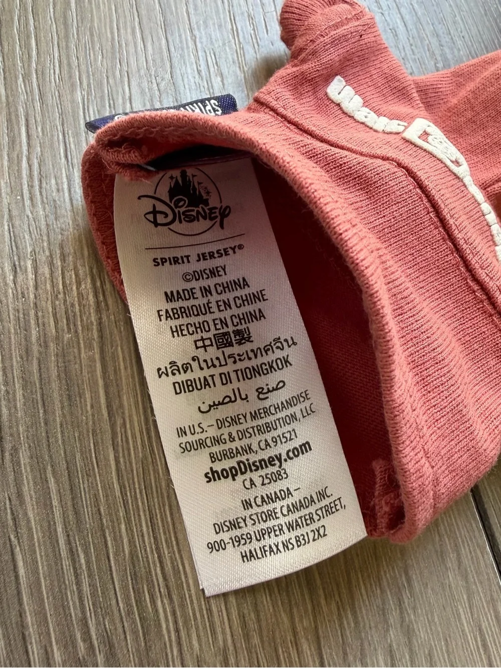 Disney NuiMOs Outfit - Walt Disney World Spirit Jersey Hoodie